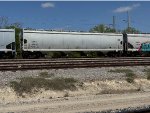 CHVX 891142
